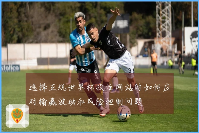 选择正规世界杯投注网站时如何应对输赢波动和风险控制问题