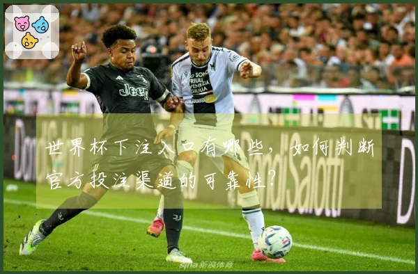 世界杯下注入口有哪些，如何判断官方投注渠道的可靠性？