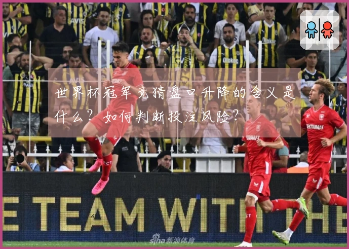 世界杯冠军竞猜盘口升降的含义是什么？如何判断投注风险？