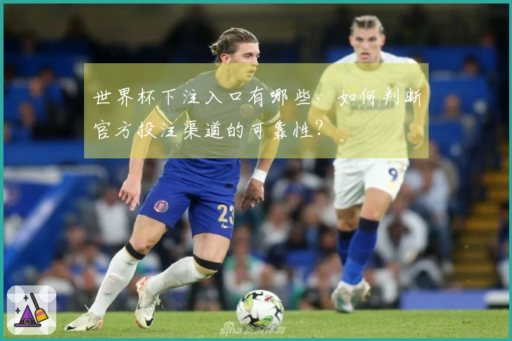世界杯下注入口有哪些，如何判断官方投注渠道的可靠性？